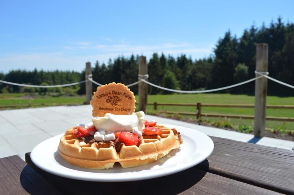 Leahys Pod Park Hotel Cork Eksteriør billede